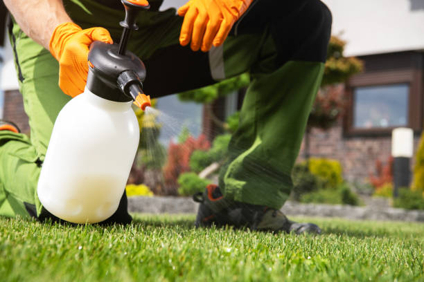 Best Pest Removal Services  in Russellton, PA