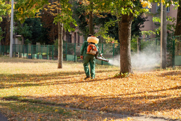 Best Pest Removal Services  in Russellton, PA