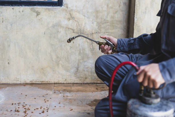 Best Residential Pest Control  in Russellton, PA